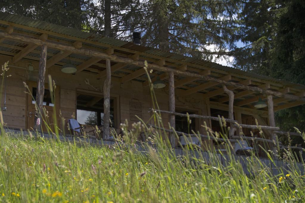 Rinderberg Swiss Alpine Lodge Zweisimmen Εξωτερικό φωτογραφία